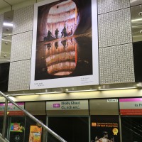 img13421