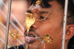 img31495 thaipusamworshipper 1024
